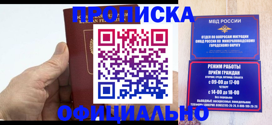 прописка ребенка в Лосино-Петровском